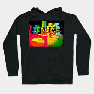 I love Nice Hoodie